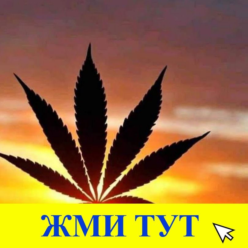 Купить наркотики в Краснотурьинске